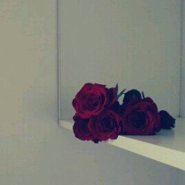 ﻗﺎﻟﻮ ( #الجنوب (=|3)  ﻗﻟﺖ ; ﻱَ ﻋﺰﻫﺎ ﻭﻋﺰ ﻃﺎﺮﯾﮪﺎ ﮪﺬﻱ #ﺩﯾﺮﺗﻲ , ﻭﺍﻫﻠﻲ ﻭﻋﺰﻭﺗﻲ ﻓﻴﻬﺎﺍ ♥♥♥♥”