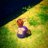 Gerardogc19's profile image