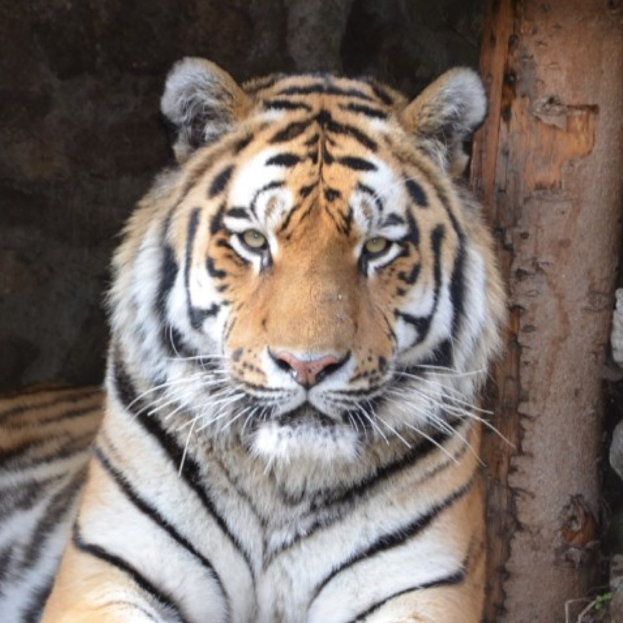 Heike110's profile picture. 