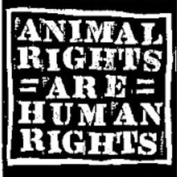 Guardian and extreme advocate for all Gods creatures big . Currently working as a substance abuse counselor.