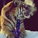 Andy Monty - @AndyMonty923 - Twitter