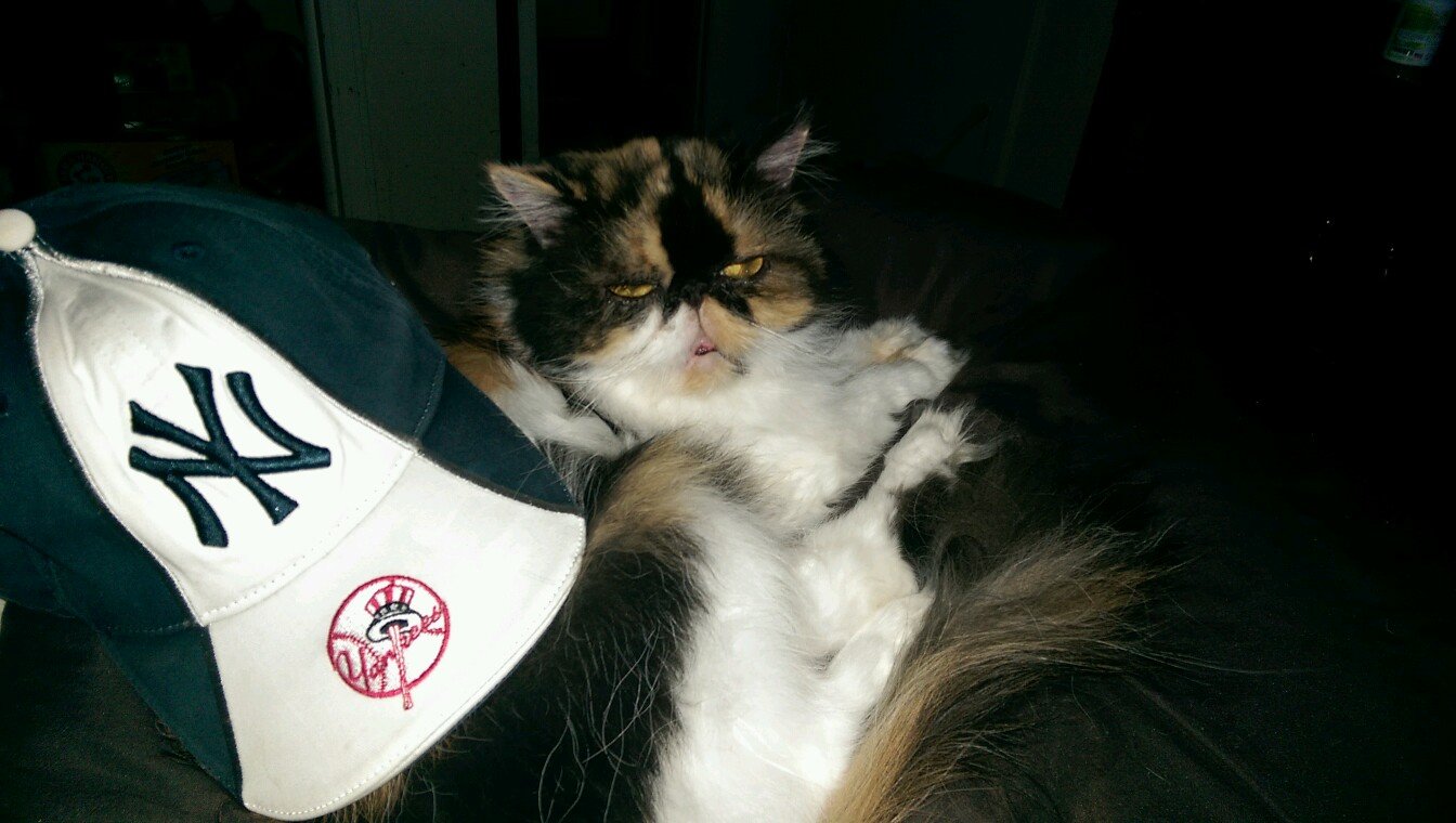 Yankees, Yankees, YANKEES! bleed true blue, so does my baby The Radish! Love meeting people with like thoughts & cattitude. Night owl...