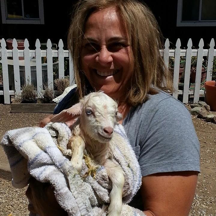 60acrebaker's profile picture. farmer, baker, journeyman & explorer. food, travel, humor,our ranch & random experiences are where i find joy.