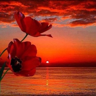 اذا كنت تشعر انك لا تعيش جيداً ، فاعلم انك لا تصلّي جيداً