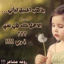زواج مسيار ومعلن للجادين والجادات فقط