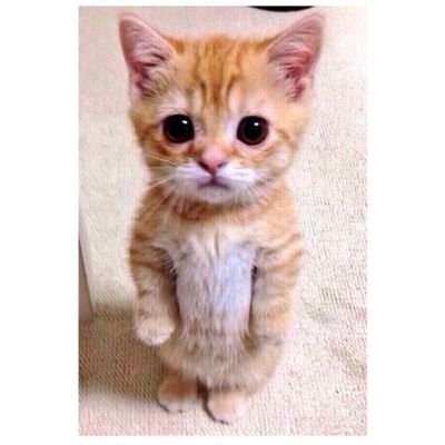 فولو لجميلاتي :   ‎ @ItsDalxal  ‎@sshhoog22