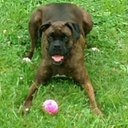 Chasity Armstrong - @carmstrong01191 - Twitter