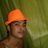 brunerroccha's profile image