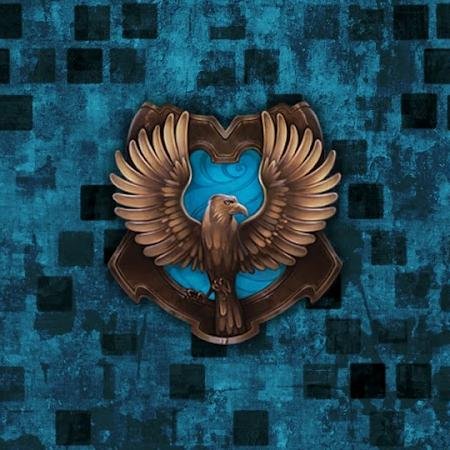 Writer. Feminist. I was a young researcher for UP (NHS, Transition project). I like TV, Films & video games. Ravenclaw/Divergent.