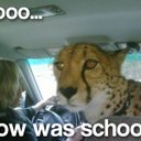 Allen Talbert - @Hazonko30 - Twitter