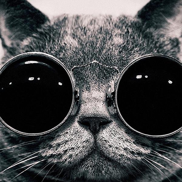 salomonkane19's profile picture. 