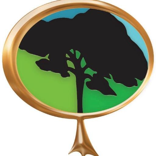 We design and sell student and graduate recognition lapel pins for numerous Allied Health and career path schools to increase student retention and motivation
