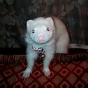 Yvette Roman - @Romey110Yr - Twitter