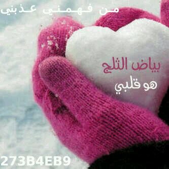 وطني القران ايا قرآني ياموطن العاشقين ☁