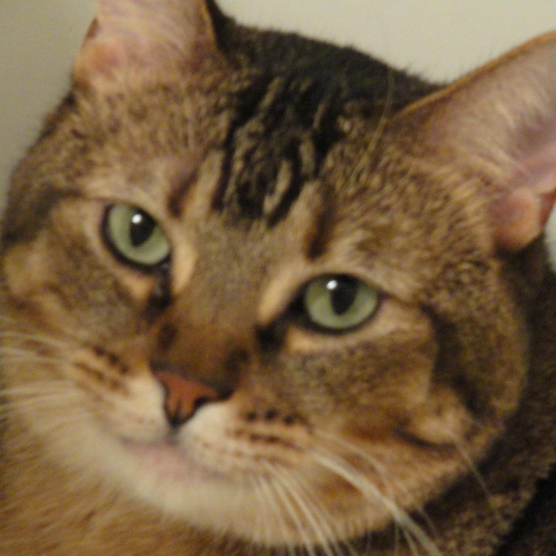 Islandgirl1367's profile picture. 