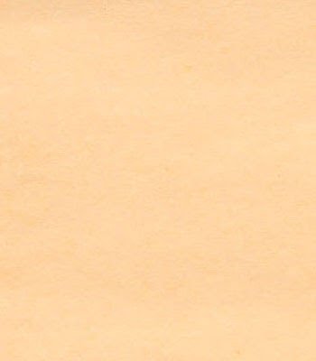 enchantedfoxy's profile picture. halcyon times of peace