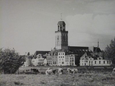 Vrachtwagenchauffeur Grolleman Transport, regioscheidsrechter Nevobo.