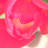 candy_boots