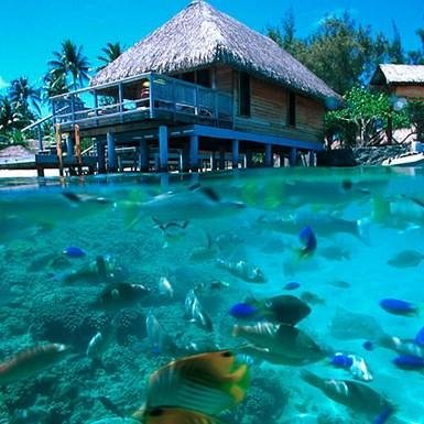 mizuni_sinenai's profile picture. 美しい風景を集めました。見ると元気が出るかもしれません。素敵だなと思ったらRT☆