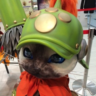 Saiさんのプロフィール画像