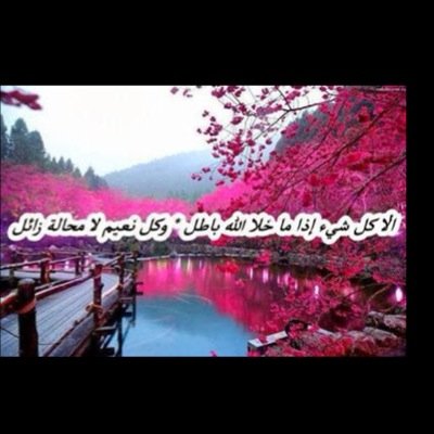 ابيات شعر قويه في الصميم