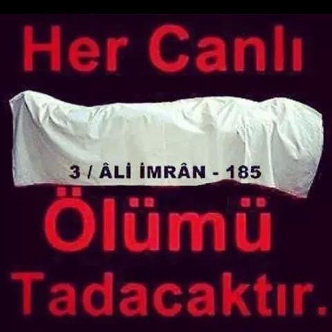 Masum_Cocugun's profile picture. 