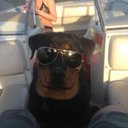 Nelson Best - @best_nelson - Twitter