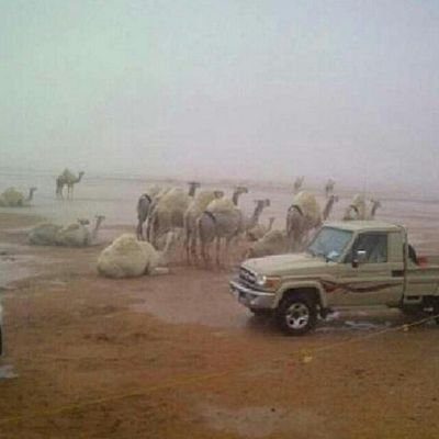 الجعفري