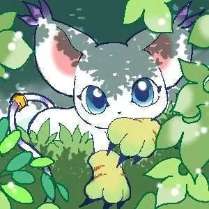 Digimon AdventureCompañero de KariDigimon Tipo Bestia SagradaNivel: Adulto-InfantilEvolucionAngewomon