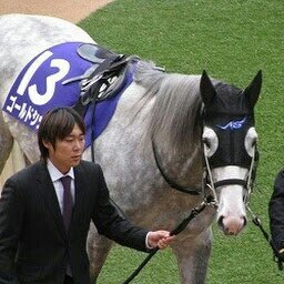 猫派で多頭飼い中、競馬(ステイゴールド一族万歳!!!)＆フィギュアスケート観戦＆QUEEN＆プリンス＆ワンオク好き😻
３人脱退直前になってKing＆Princeにハマり😅
現在はNumber_iを絶賛応援中❤🩵💜
タイのBillkinとPPも😻
昔はイ・ビョンホン💖で韓流オバサンやってました😅