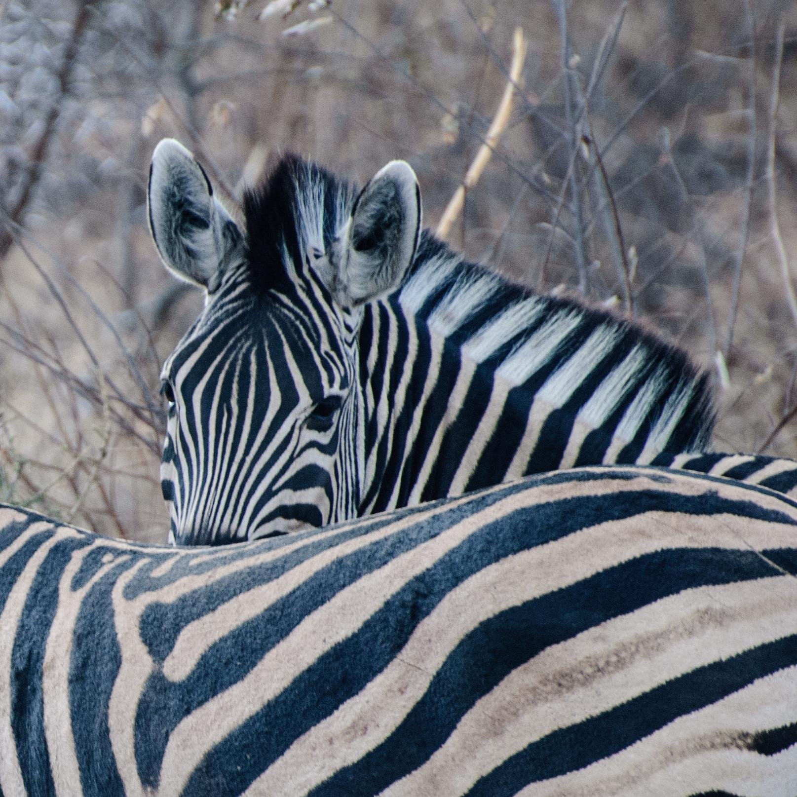 ajk_1983's profile picture. All views are my own and retweeting doesn't mean endorsement!