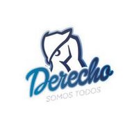 Derecho Somos Todos (@dstuady) 's Twitter Profile