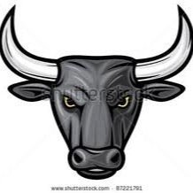 BbcBullsPics's profile picture. home of bbcs gathering pictures of them #TeamBBC #FatBlackCockDm pics only Big Black Thick Cock