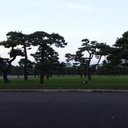 すぎー (@0922sugi) Twitter