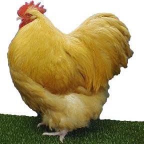 Fattyproblemss's profile picture. 