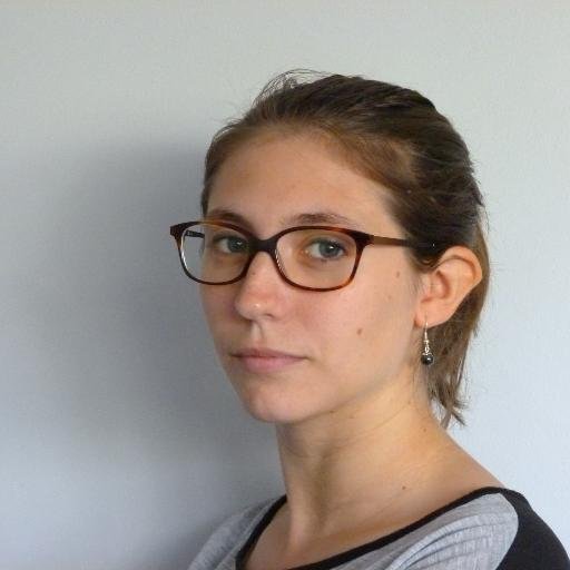 Journaliste à Sud Ouest.