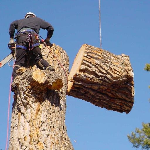 We provide additional lawn maintenance and tree services, that will keep your property safe and looking aesthetically pleasing to the eye.
(609) 232-8047