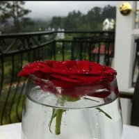 amo0o0n (@mahdir1991) Twitter profile photo
