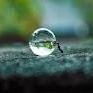 My life my rule