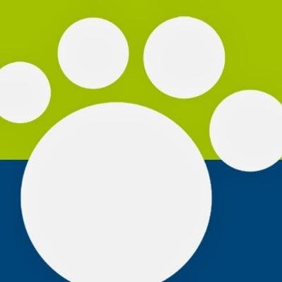 NAAASintra's profile picture. O Núcleo de Apoio a Animais Abandonados de Sintra é uma associação sem fins lucrativos que se dedica a cuidar de animais vítimas de abandono e maus tratos.