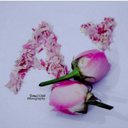 ،♥ (@22_glay) Twitter