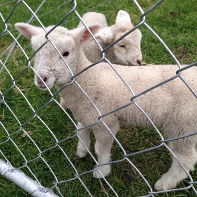 ta_ka_da's profile picture. 