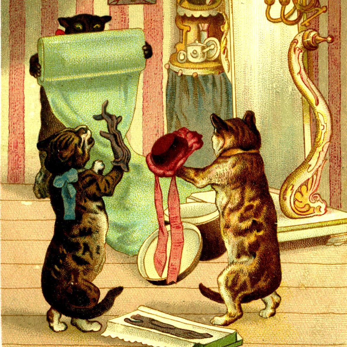 ladyreviews's profile picture. You can find me at http://t.co/YgwMXG2zM1