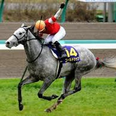 毎日更新！上々競馬