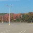 Paula Curtis - @paulacur - Twitter