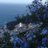 inese_punte's profile image