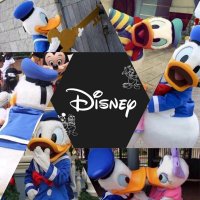 Яirika@D垢 (@lovedisney_0609) Twitter profile photo