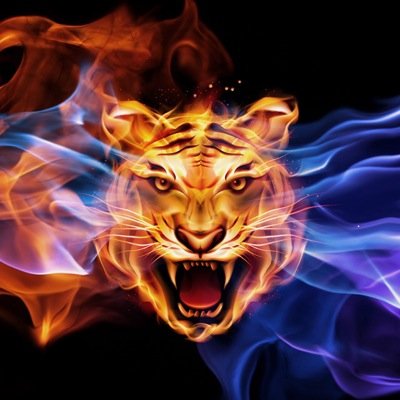 PittrixR's profile picture. Yo