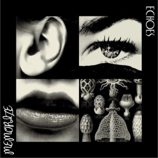 ECHOES