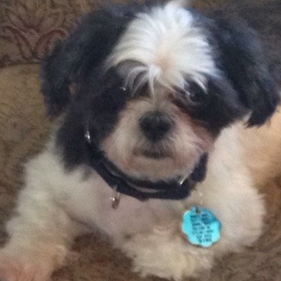 BuchananDarci's profile picture. 